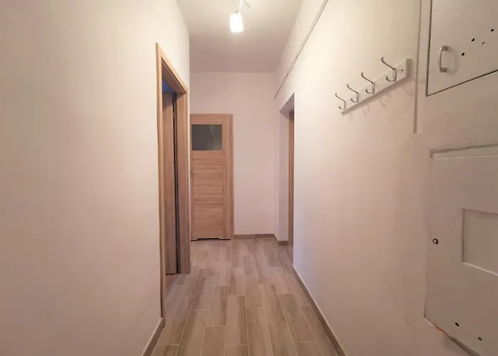 Euro24 Konwalia - Oliwa *